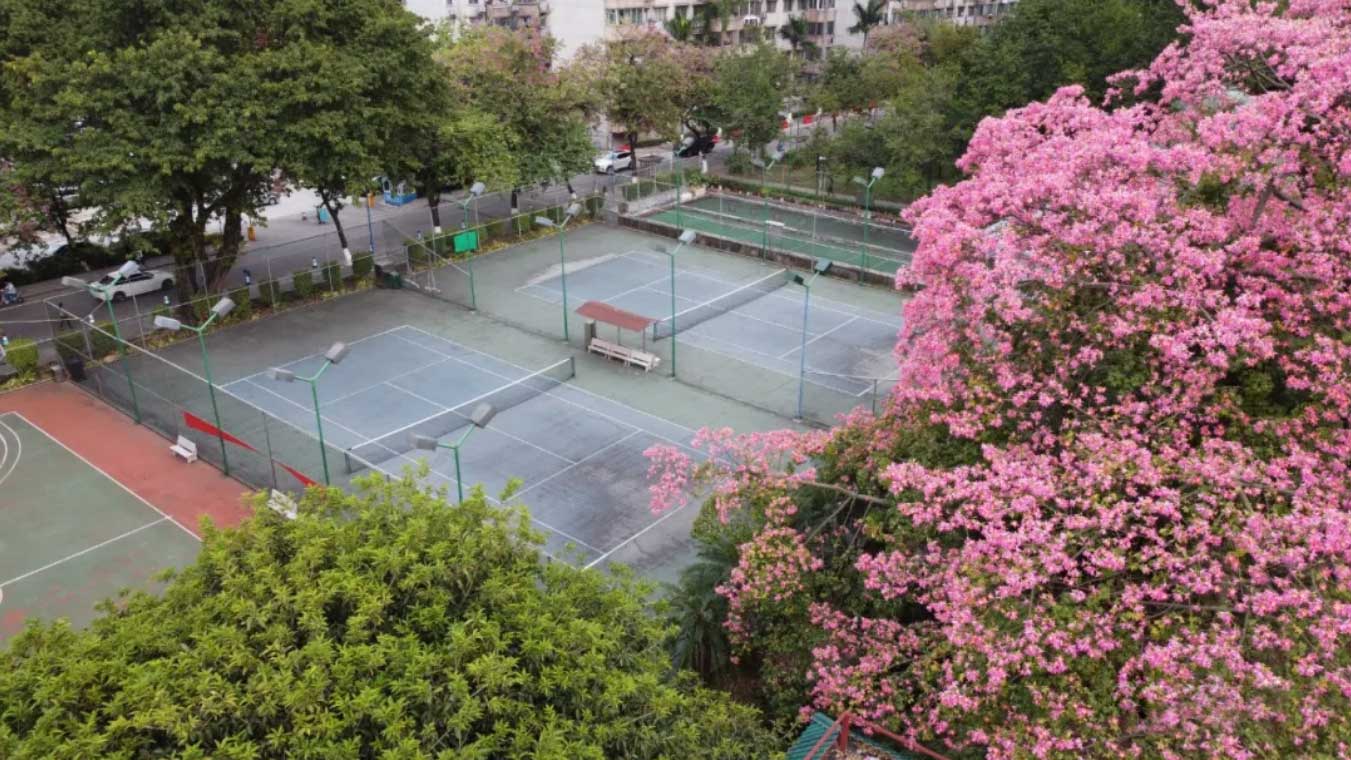 華師風(fēng)景