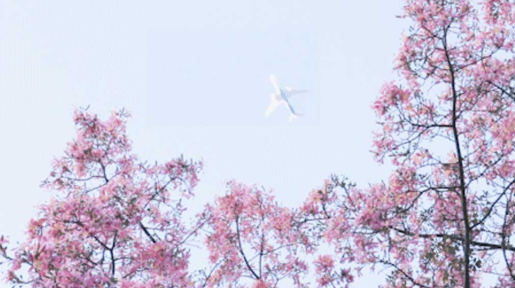 華師風(fēng)景