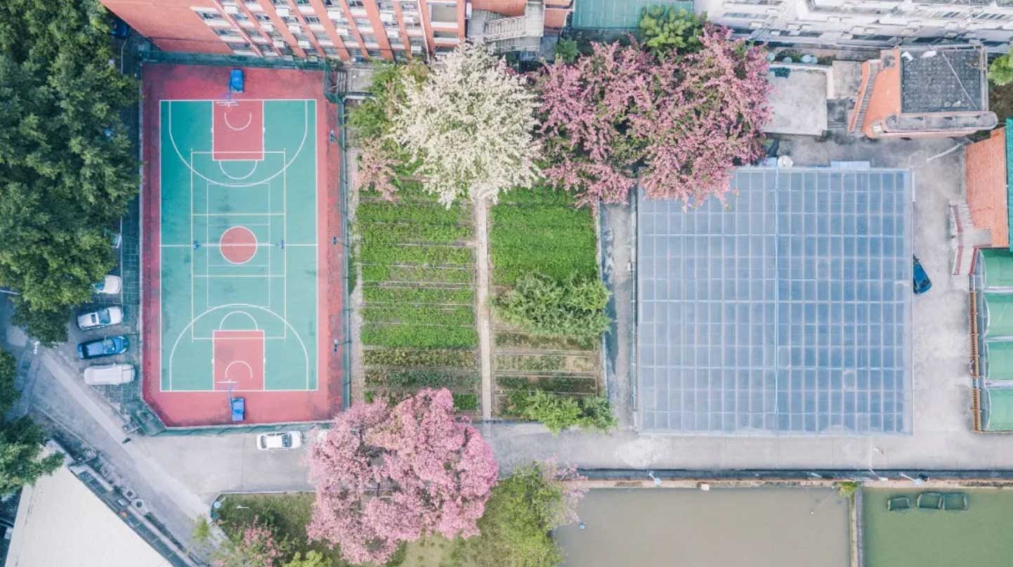 華師風(fēng)景