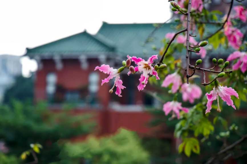 華師風(fēng)景