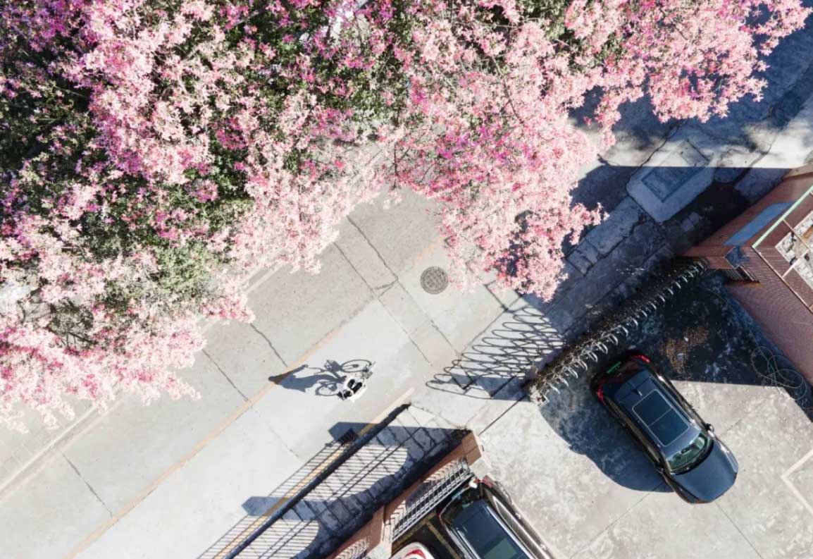 華師風(fēng)景