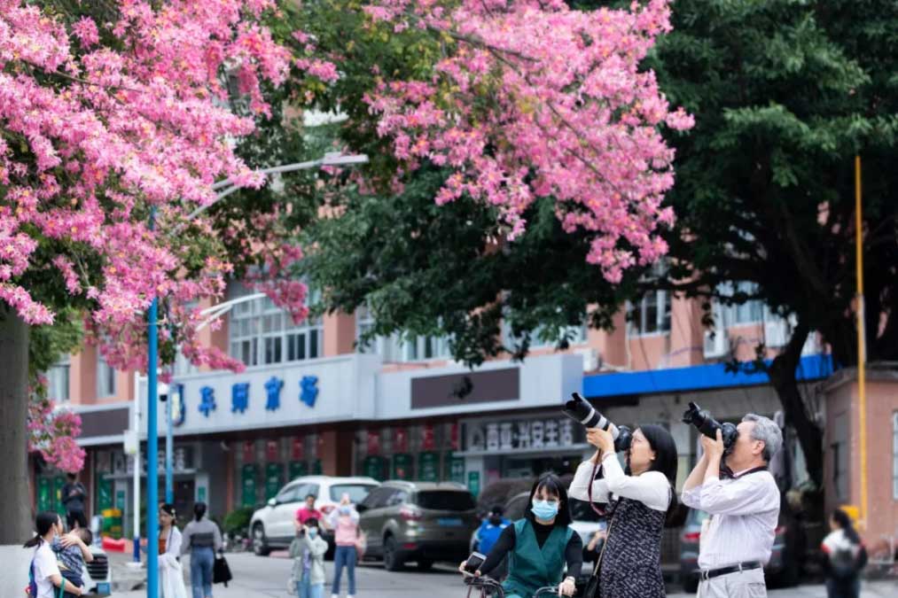 華師風(fēng)景
