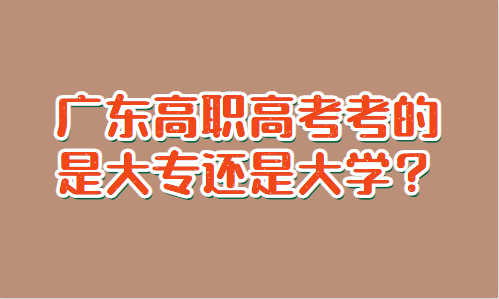 廣東高職高考考的是大專還是大學(xué)？(圖1)