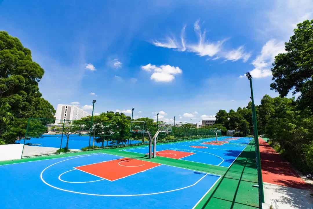 廣州科技職業(yè)技術(shù)大學2022年3+證書招生計劃（含本科）(圖7)